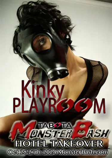 Kinky Playroom Area